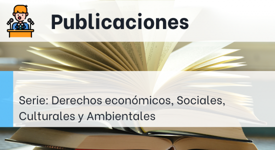 Serie: Derechos económicos, Sociales, Culturales y Ambientales